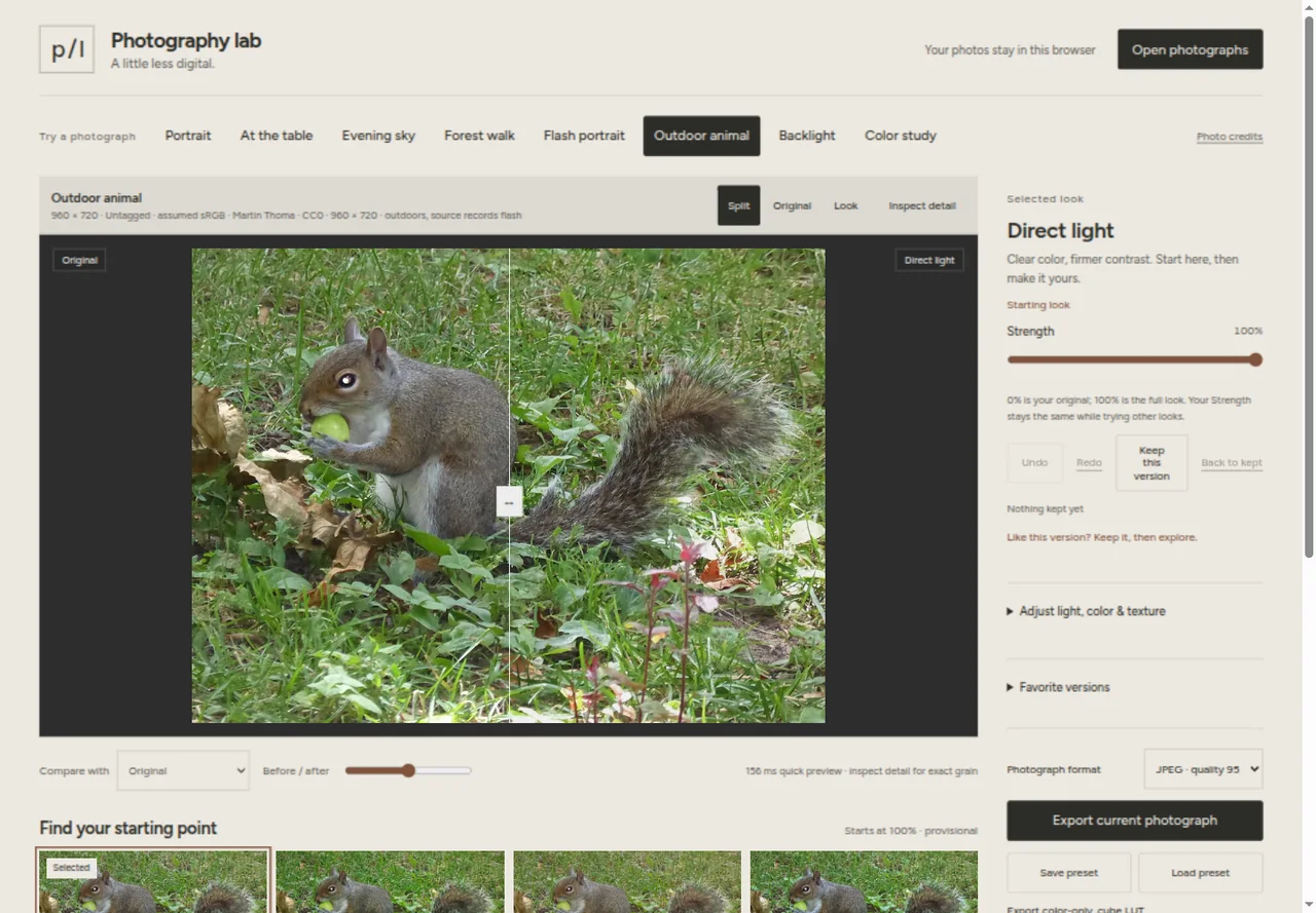 Old photo lab: sample photo tabs, a split view of a squirrel photo, and a sidebar with a strength slider and collapsed sections.